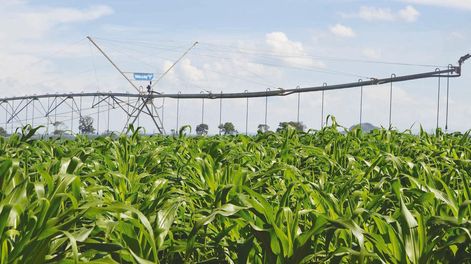 Se estima que aumentando el represamiento de solo el 2% del agua que escurre se podrían regar 600.000 hectáreas de maíz.