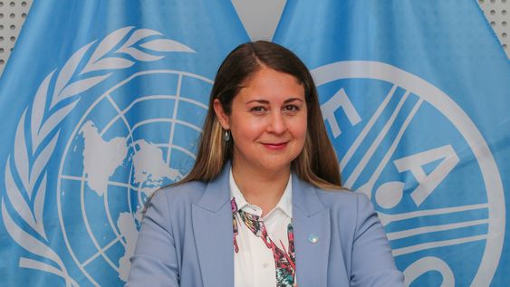 Daniela Godoy Daniela Godoy