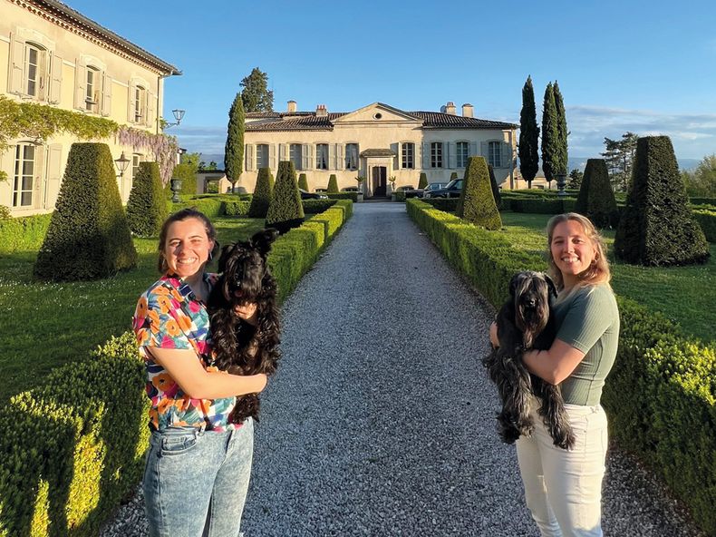 Viajar haciendo pet sitting: la vida de perros que todos quieren