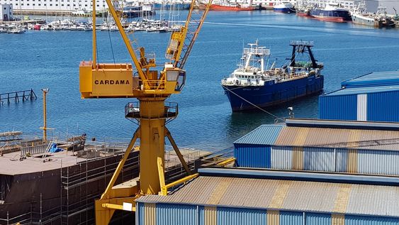 Las instalaciones de Cardama en Vigo Las instalaciones de Cardama en Vigo