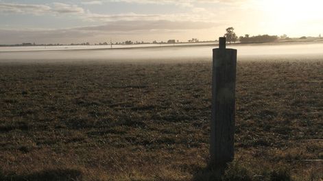 Un campo agropecuario. Foto: Nicolás Der Agopián / Búsqueda