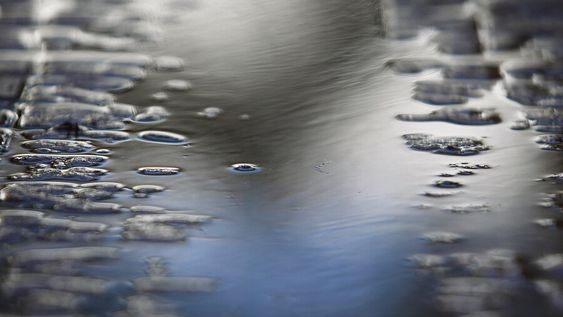 Foto: Nicolás Garrido / Búsqueda Foto: Nicolás Garrido / Búsqueda