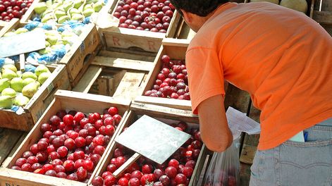 Algunos alimentos frescos se abarataron en agosto. Foto: Javier Calvelo / adhocFOTOS