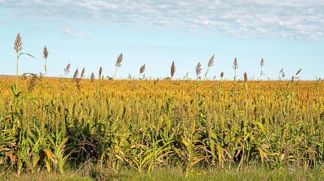 Búsqueda | 86100.jpg