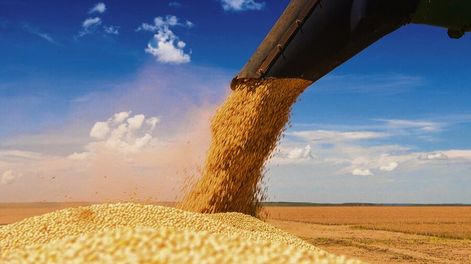 Estados Unidos podría incrementar en 5 millones de toneladas la producción de soja