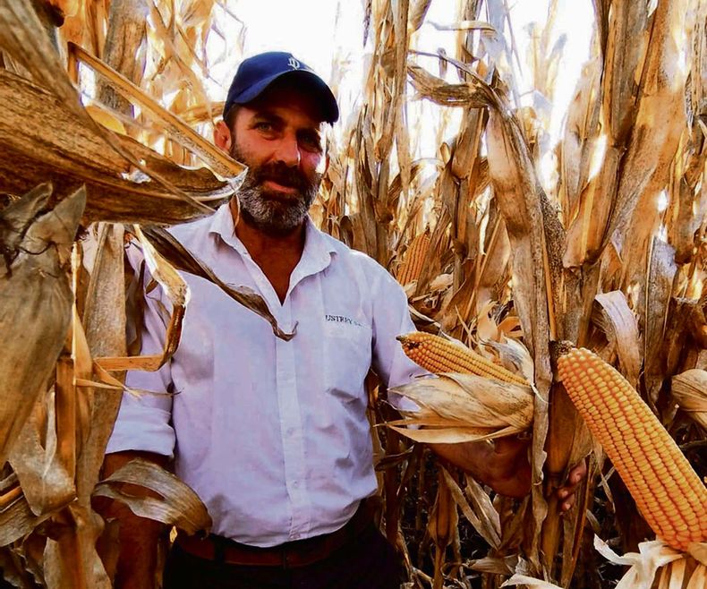 El director de Austrey SA, Rafael Sosa resaltó la importancia de manejar herramientas del mercado de futuros y opciones, para las coberturas de precios