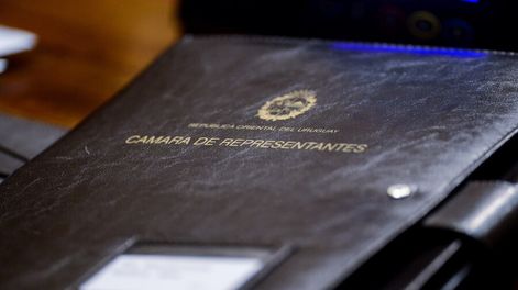 El proyecto de ley sobre tenencia compartida se tratará en la Cámara de Representantes. Foto: Santiago Mazzarovich / adhocFOTOS