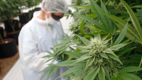 Foto: Nicolás Der Agopián / Búsqueda