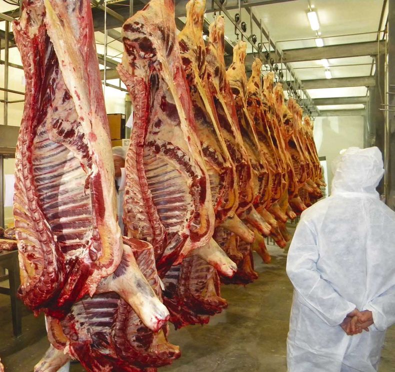 “Si se dan las condiciones de precios el ganado aparece”, sostuvo el coordinador de Grupos Plan, Esteban Montes, al referirse a la oferta de ganado para faena
