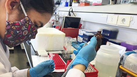 Búsqueda | Hoy la posibilidad de destinar un 1% del PBI a este sector “resulta tímida y casi obsoleta”, opinan expertos. Foto: Nicolás Der Agopián / Búsqueda