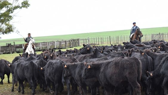 En marzo la suba de precios se aceleró y llegó a referencias excepcionales En marzo la suba de precios se aceleró y llegó a referencias excepcionales