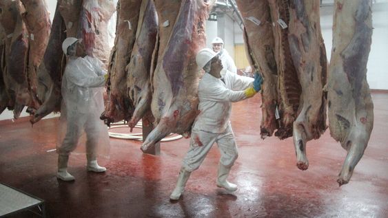 El nivel de empleo en octubre alcanzó máximos desde fines de 2015 El nivel de empleo en octubre alcanzó máximos desde fines de 2015