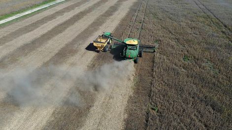 Cosecha. Foto: Pablo La Rosa / adhocFOTOS