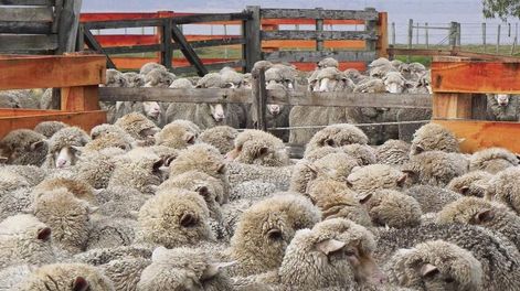 Fotografía: Agro de Búsqueda