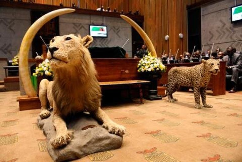 imagen de Un viaje de 12 parlamentarios a Zambia generó críticas de colegas