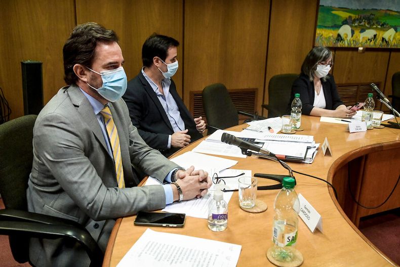 Germán Cardoso durante la sesión de Comisión Investigadora sobre Ministerio de Turismo en Montevideo. Foto: Javier Calvelo / adhocFOTOS