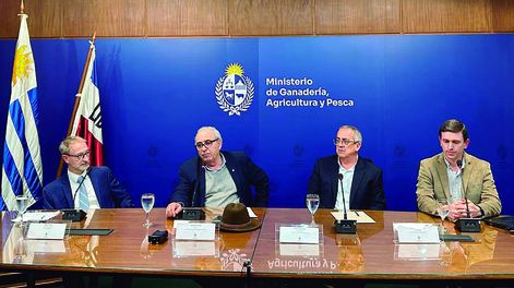 &nbsp;El MGAP presentó los números del llamado a postulantes a participar en Procría, en una conferencia realizada el pasado lunes 1.