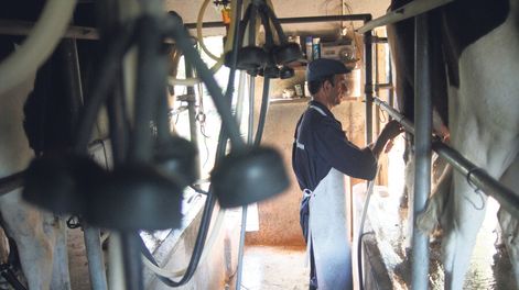 imagen de Tamberos “reticentes” a conocimiento “estratégico”