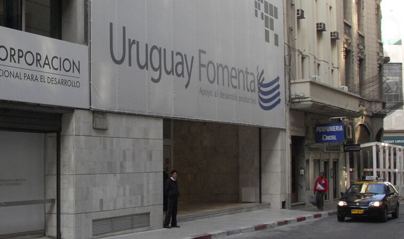 imagen de La Corporación para el Desarrollo incrementó sus ganancias año tras año