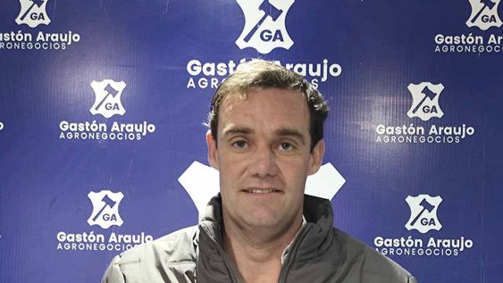 Araujo estimó que el valor de un toro debería ser el de “seis o siete terneros”.