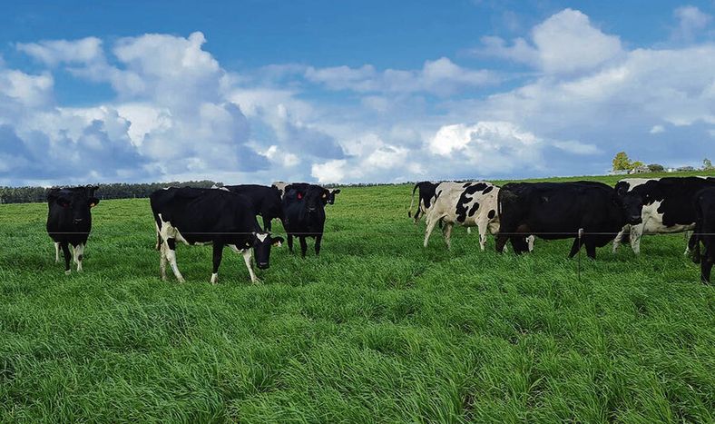 imagen de Ceres presentó un proyecto de riego para impulsar y darle estabilidad a la producción lechera