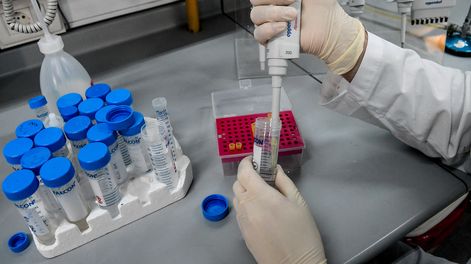 Investigación en laboratorio del Institut Pasteur de Montevideo