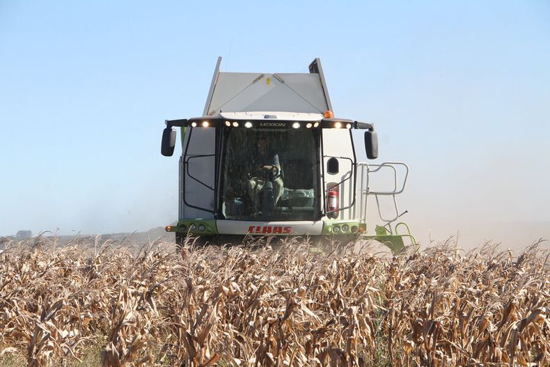 Un nuevo boom agrícola impulsa el mercado de arrendamientos de tierras. Foto: Nicolás Der Agopián / Búsqueda