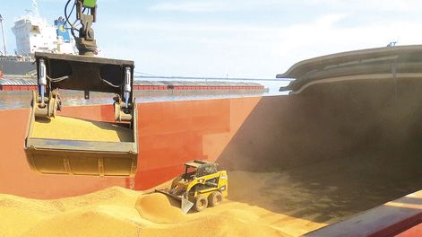 Los granos y su exportación fueron un motor del PBI.