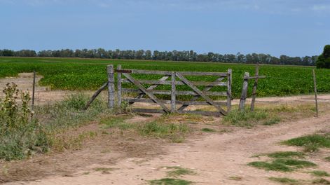 Colorado busca derogar ley que prohíbe a sociedades anónimas tener campos
