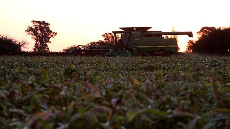 Foto: Pablo La Rosa / adhocFOTOS