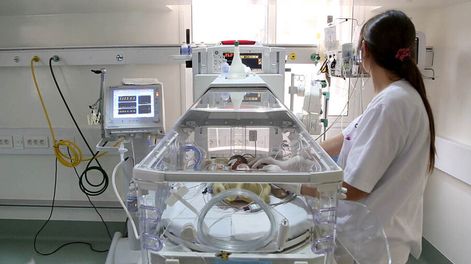 Búsqueda | El CTI Neonatal del Pereira Rossell. Foto: Pablo La Rosa / adhocFOTOS