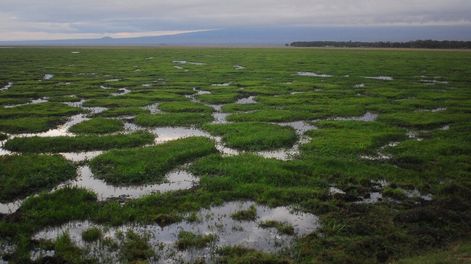 imagen de A Uruguay “le calza muy bien” el impulso internacional de sumar al sector privado y la sociedad civil al combate del cambio climático