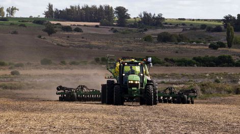 Trabajos en un campo agrícola durante la sequía. Foto: Pablo La Rosa, adhocFOTOS