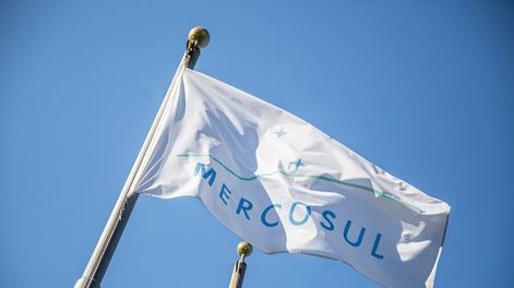 Búsqueda | 79740.jpeg