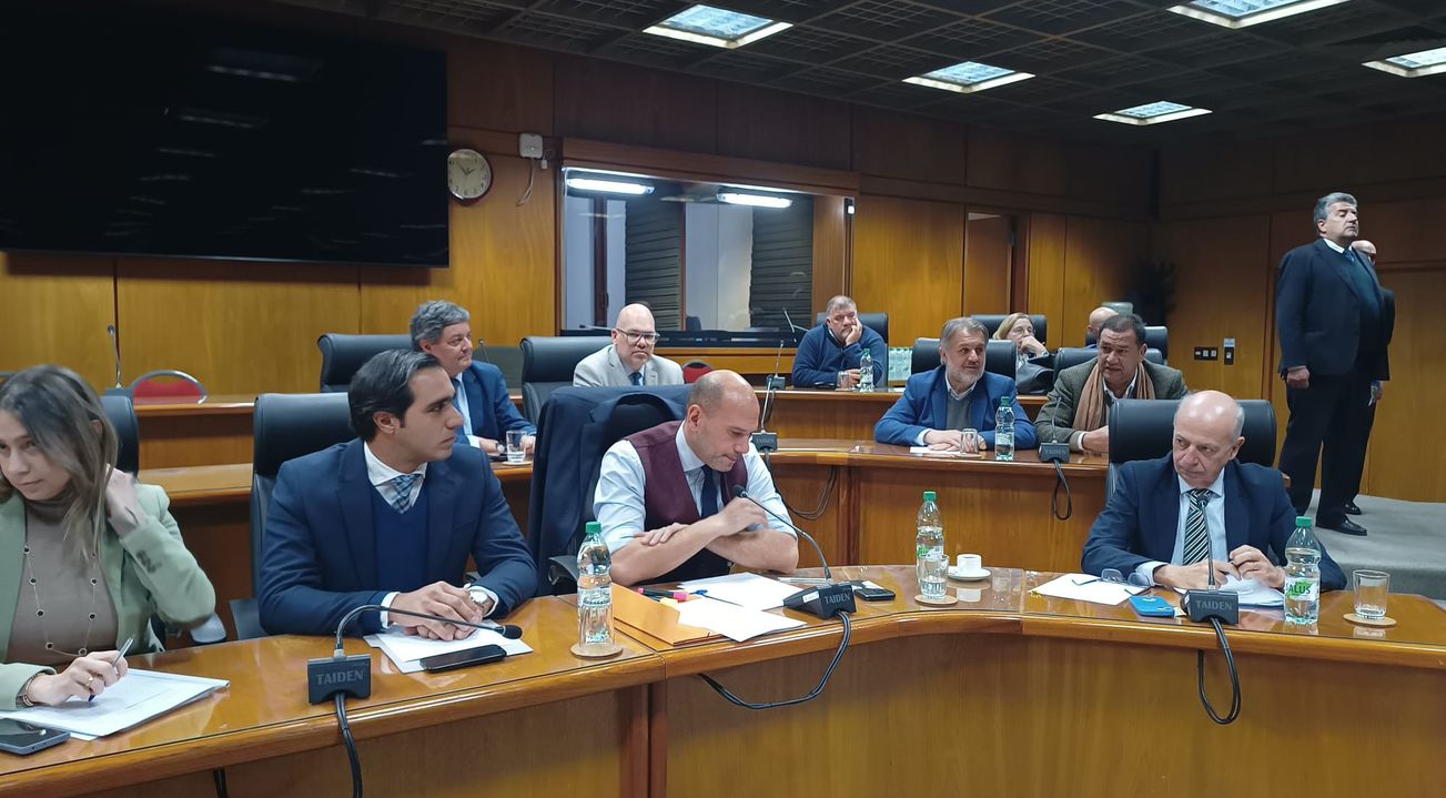 La oposición en la Comisión de Salud del Senado.