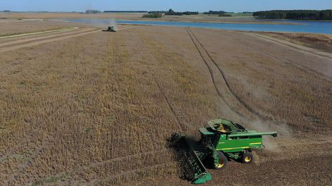Cosecha de soja en Florida. Foto: Pablo La Rosa / adhocFOTOS