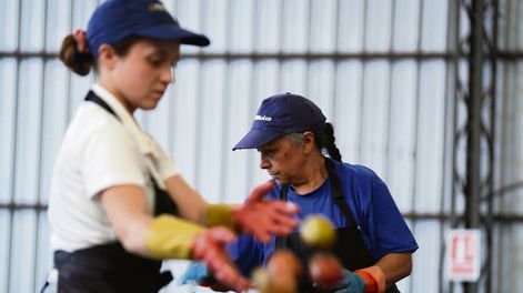 Mujeres trabajando en el empaque de manzanas en una empresa de Melilla. Foto: Javier Calvelo / adhocFOTOS