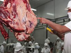 Frigorífico paraguayo. Foto: IP Paraguay
