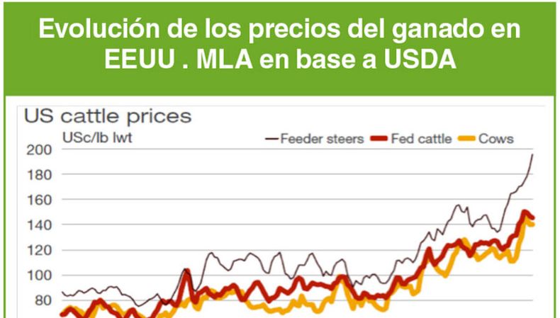 Los precios de la carne vacuna en EEUU