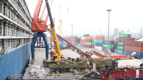 Miles de cabezas de ganado uruguayo se exportan para faena o reproducción en Turquía, China y otros países. Foto: Nicolás Der Agopián / Búsqueda