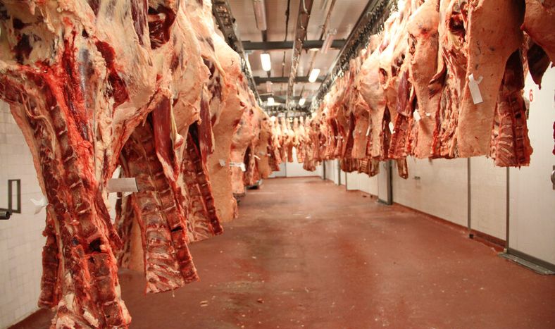 imagen de Los precios de las cuotas de exportación de carne  aumentaron en Europa pero bajaron en Estados Unidos