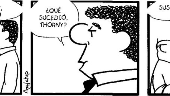 imagen de Don Brutus