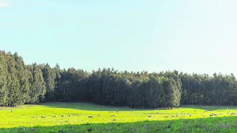 Percepción sobre el impacto ambiental genera “alerta” en el sector y el gobierno