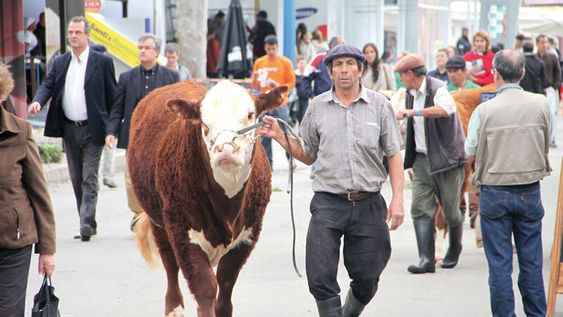 La Expo Prado y un territorio desigual en la vitrina La Expo Prado y un territorio desigual en la vitrina