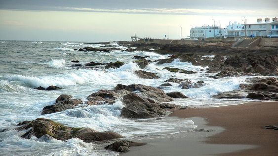 ONG denuncia que nueva normativa “deja por fuera” a investigadores con pocos recursos económicos. Foto: Ricardo Antúnez / adhocFOTOS ONG denuncia que nueva normativa “deja por fuera” a investigadores con pocos recursos económicos. Foto: Ricardo Antúnez / adhocFOTOS