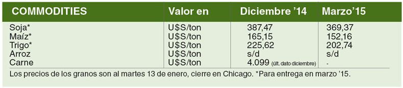 imagen de Campo Data