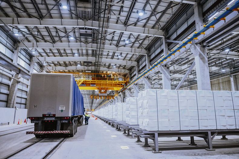 Las exportaciones de celulosa en el 2024 fueron por US$ 2.545 millones