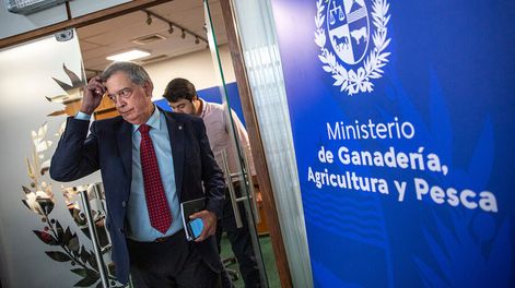 Fernando Mattos. Foto: Mauricio Zina / adhocFOTOS