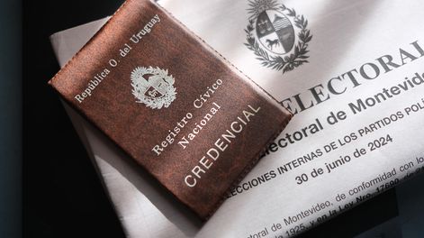 Plan circuital de las elecciones internas 2024 y credencial cívica.&nbsp;