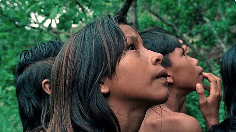 Búsqueda | Fotograma de la película La flor de Buriti de João Salaviza y Renée Nader Messora. Foto: Cinemateca